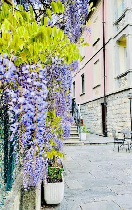 Charming & Luxury Villa Como Lake Bagian luar foto